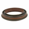 SEAL - image 3