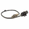 SENSOR - HEGO (P) - image 3