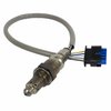 SENSOR - HEGO (P) - image 2