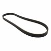 V-BELT (P) - image 2