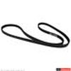 BELT - image 2