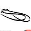 V/BELT - image 1