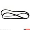 V/BELT - image 2
