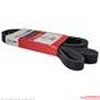 V-BELT - image 2