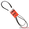 Sepentine Belt 2006-2011 Ford Crown Victoria - image 1