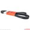 V-BELT - image 2