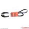 V-BELT - image 1