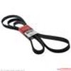 V-BELT - image 2