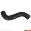 HOSE - image 2