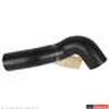 HOSE - RADIATOR - image 2