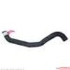 HOSE - RADIATOR - image 2
