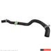 HOSE - image 3