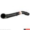 HOSE - RADIATOR - image 3