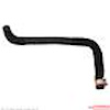 HOSE/RADIATOR - image 1