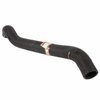 HOSE - RADIATOR (P) - image 2