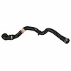 HOSE - RADIATOR (P) - image 1