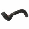 HOSE - RADIATOR (P) - image 2