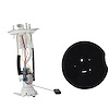 KIT (P) - image 1