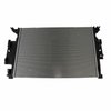 RADIATORASY (P) - image 2