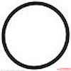 THERMOSTAT SEAL - image 1