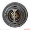 THERMOSTAT ASY - image 1
