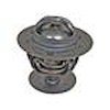 THERMOSTAT ASY - image 1