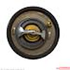 THERMOSTAT ASSEMBLY - image 1