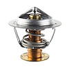 THERMOSTAT ASY (P) - image 1