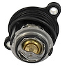 THERMOSTAT ASY (P) - image 1