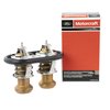 THERMOSTATASY (P) - image 4
