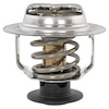 THERMOSTATASY (P) - image 1