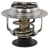 THERMOSTATASY (P) - image 1