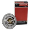 THERMOSTATASY (P) - image 2