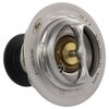 THERMOSTATASY (P) - image 4