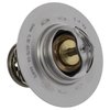 THERMOSTATASY (P) - image 3