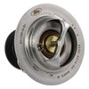 THERMOSTATASY (P) - image 2