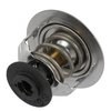 THERMOSTATASY (P) - image 3