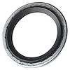 O RING (P) - image 1