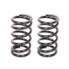 Coil-Over Springs Inside Diameter: 2.5" - image 1