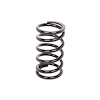 Coil-Over Spring Inside Diameter: 2.5" - image 1