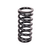 Coil-Over Spring Inside Diameter: 2.5" - image 1