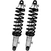 Coil-Over Kit 1992-1995 Dodge Viper - image 1