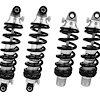 Coil-Over Kit 1996-2002 Dodge Viper - image 1