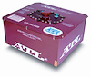 12 Gallon Super Cell 100 Series Fuel Cell