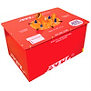 22 Gallon Super Cell 200 Series Fuel Cell - image 1