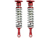 SWAY A WAY COILOVER FORD - image 1