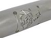 DIRECT FIT CATALYTIC CONV