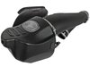 51-73115 Momentum GT Cold Air Intake System w/ Pro DRY S Filter Ford F-150/Raptor 17-20 V6-3.5L (tt) - image 4