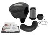 Momentum GT Pro DRY S Cold Air Intake System BMW 330i/430i F3X 16-17 B46/48 I4-2.0L t - image 2