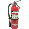 Fire Extinguisher 5 lbs - image 1